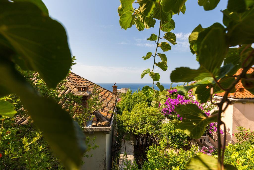 Anika Apartment Dubrovnik Extérieur photo